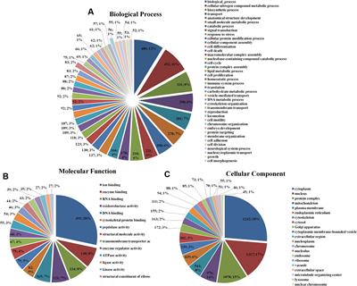 Dioscin Inhibits HSC-T6 Cell Migration via Adjusting SDC-4 Expression: Insights from iTRAQ-Based Quantitative Proteomics